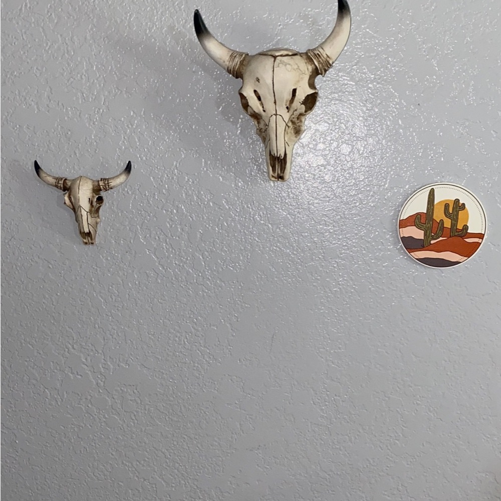 Rustic Bone White Bull Skull Wall Decor - Home Accent